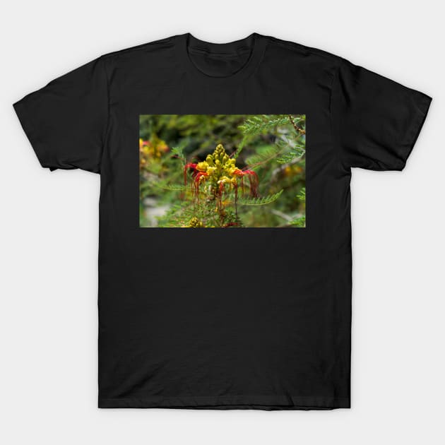 Yellow and red flower of the bird of paradise T-Shirt by lena-maximova